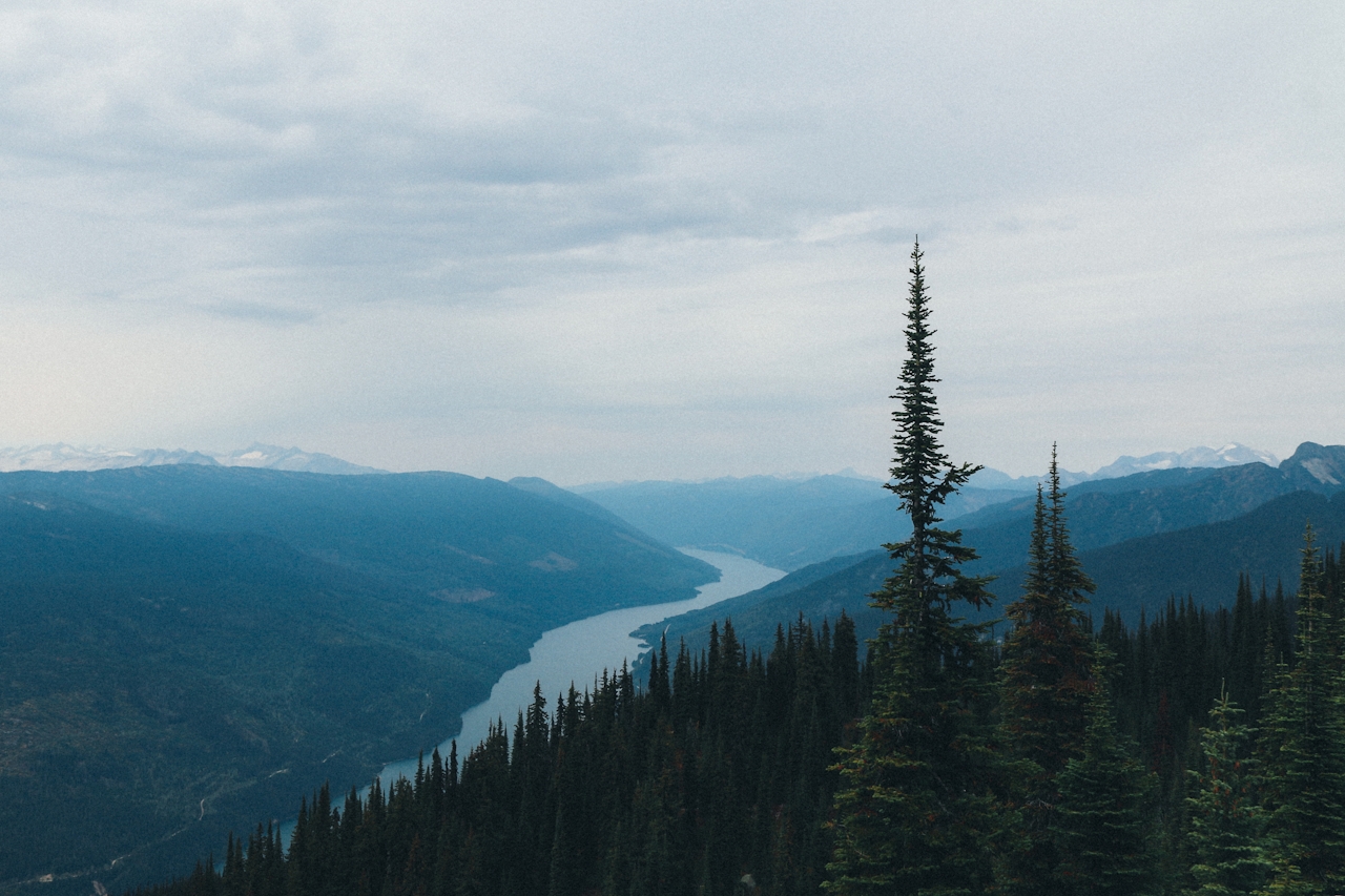 A misty Pacific Northwest river valley, with dark conifers in the foreground and distant blue mountain ranges fading into the horizon.